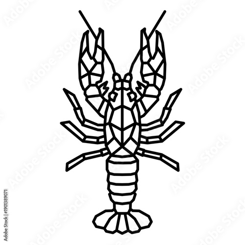 Polygonal lobster top view