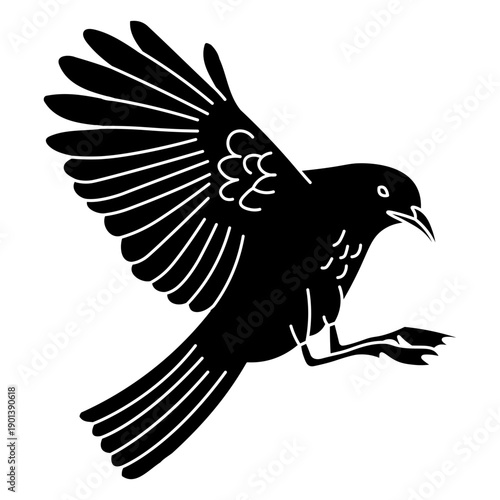 Flying landing cut out seagull