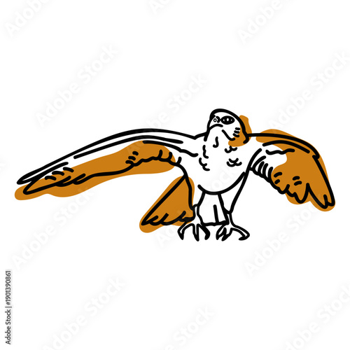 Color stroke semi colored flying hawk