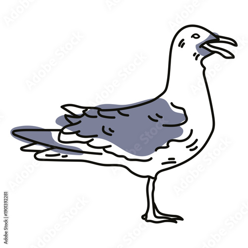 Color stroke semi colored side seagull