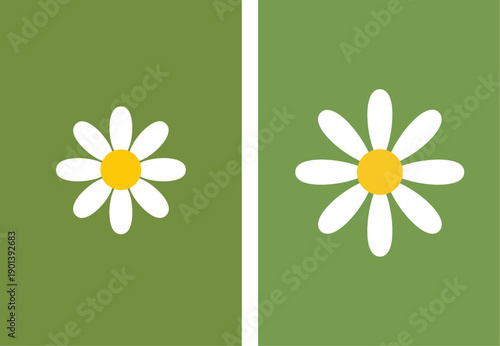 Minimalist White Daisy Flower Illustration on Olive Green Background