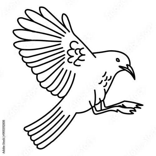 Extended wings flying stroke seagull