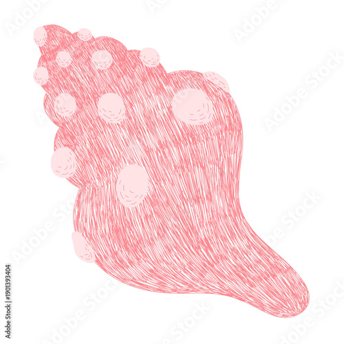 Pink seashell hand drawn