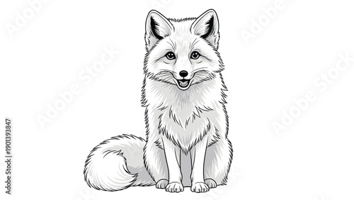 Detailed black and white illustration of an arctic fox sitting and looking forward with alert ears on white.