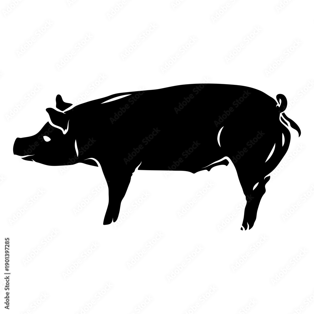 Fototapeta premium Pigs profile cut out
