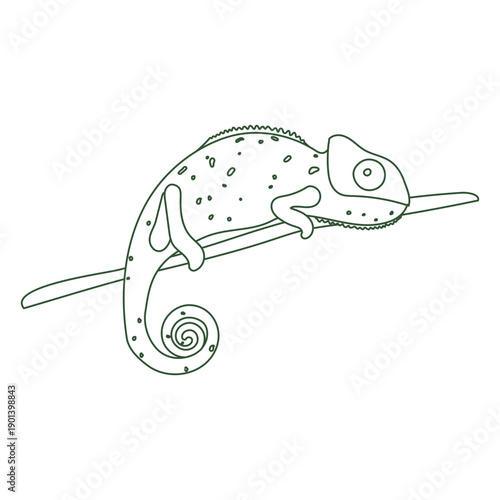 Chameleon animal stroke