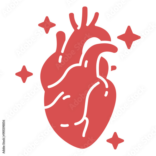 Human heart cut out