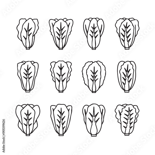 Collection of twelve lettuce icons, top view, simple line art, white background