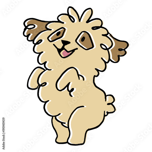 Fluffy dog jumping animal