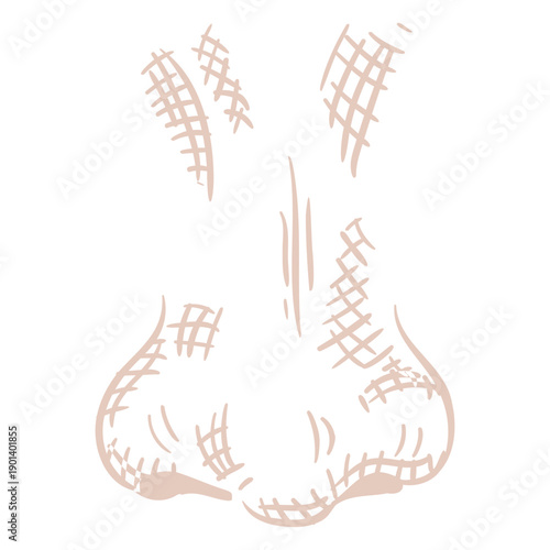 Frontal nose element hand drawn