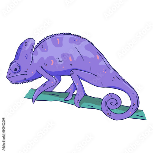Purple chameleon color stroke