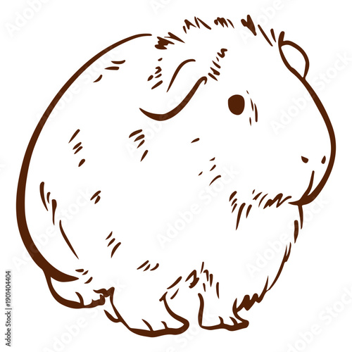 Simple guinea pig doodle