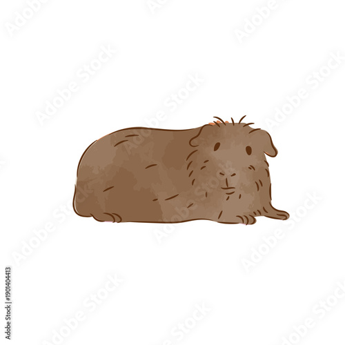 Cute guinea pig laying color stroke