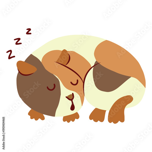 Sleeping guinea pig flat