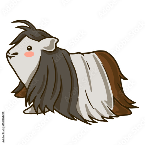 Hairy side guinea pig cute
