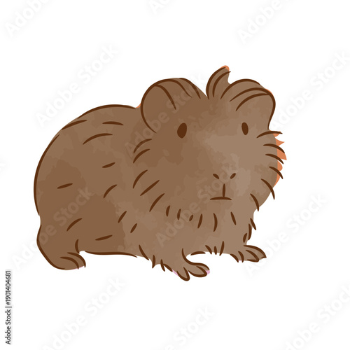 Cute guinea pig color stroke