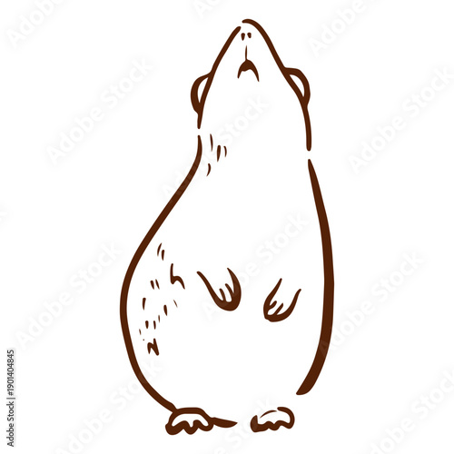 Standing guinea pig doodle