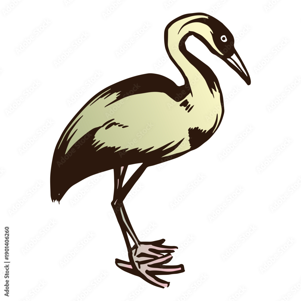 Obraz premium Green and black bird color stroke