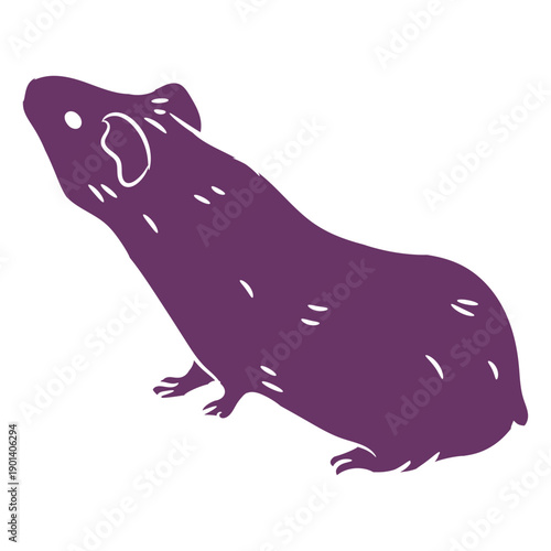 Curious guinea pig cut out