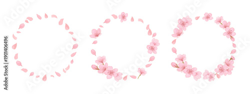 Watercolor cherry blossom wreath and round frame set. Hand-painted pink sakura petals and flower circles for spring wedding, logo design and invitation. Transparent background PNG clipart. 300dpi.	