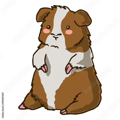 Sitting guinea pig cute