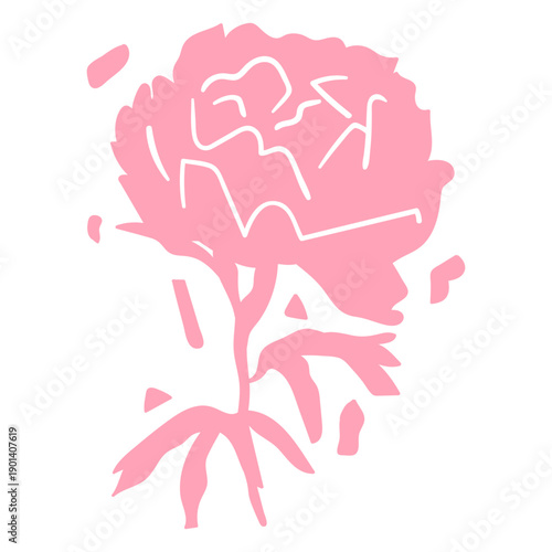 Pink carnation flower cut out