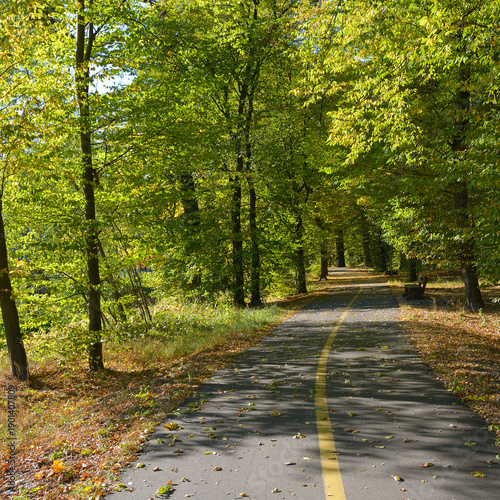 Scenic urban park lane for cyclists and pedestrians with leafy canopy and peaceful atmosphere.