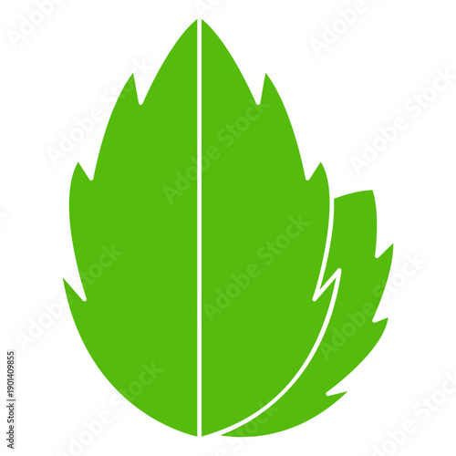 Botanic leaves nature icon