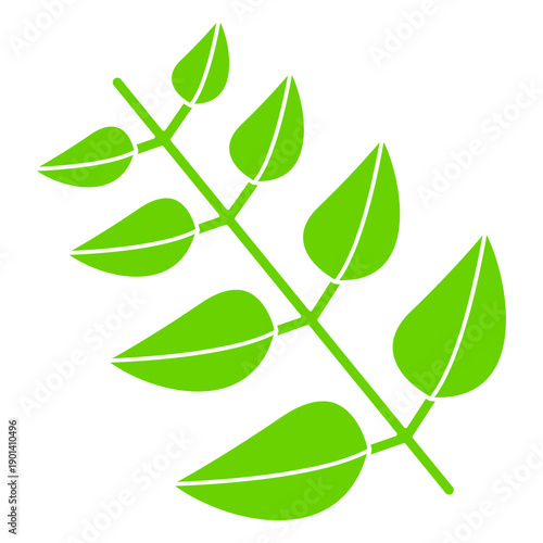Nature botanic plant leaf icon