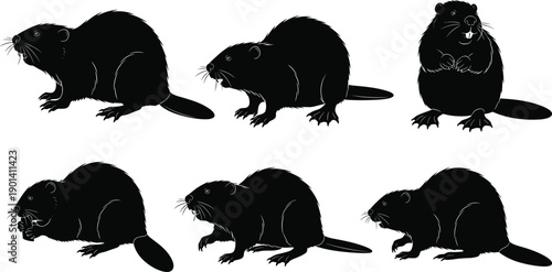Black Beaver Silhouette Vector Set Featuring North American Rodent Poses Including Gnawing Wood Walking and Standing Profiles Isolated on White Background for Wildlife Graphic Design