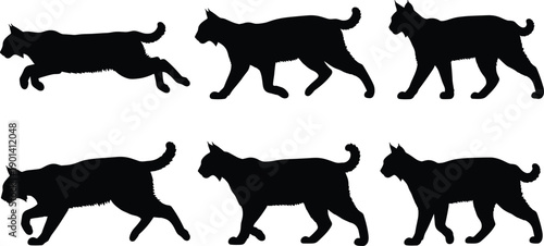 Black Lynx Silhouette Vector Illustration Featuring Wild Cat Bobcat Poses Including Walking Running and Standing Profiles Isolated on White Background for Graphic Design