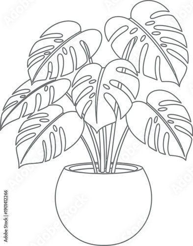 Minimalist continuous line art drawing depicting a potted monstera deliciosa plant featuring characteristic split leaves ready for coloring or decoration projects.