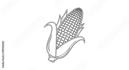 Close-up of Fresh Ears of Corn with Green Husks for Healthy Eating