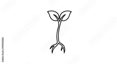 Close-up of Growing Plant Seedling with Tender Sprouts on Soil Surface