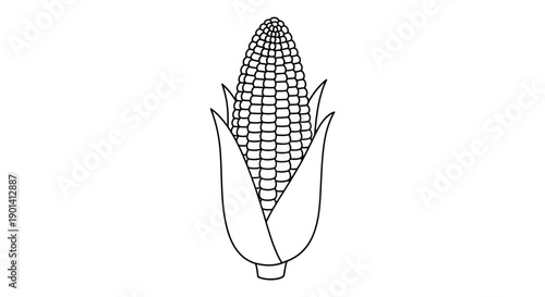 Close-up of Fresh Organic Corn Ear with Leaf Cover in Natural Setting