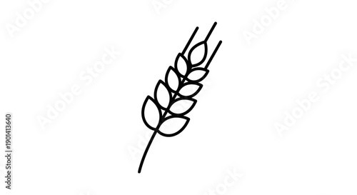 Minimalistic Black and White Line Drawing of Wheat Ear for Agricultural Design