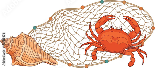 Marine life composition featuring large orange crab next to beautiful seashell and tangled fishing net with sea glass