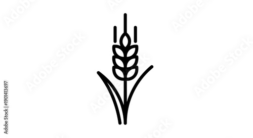 Simple Black and White Illustration of Wheat Grain for Agricultural Design