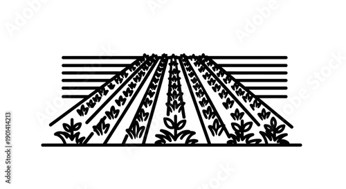 Abstract Black and White Line Art Illustration of a Farm Field with Growing Crops