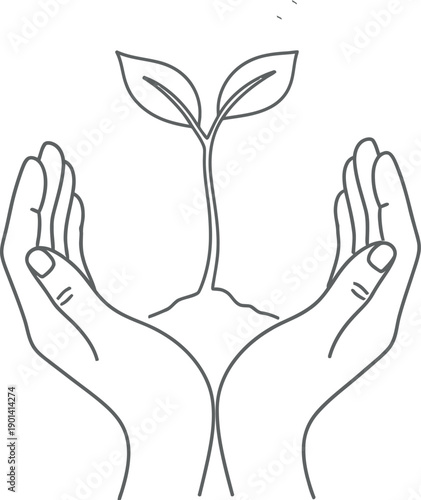 Delicate line art illustration depicting cupped human hands gently protecting a freshly sprouted seedling growing from a small mound of earth symbolizing environmental nurturing and ecological care