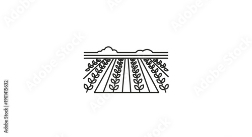 Growing Agricultural Crops in a Field During Springtime for Sustainable Farming