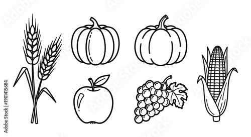 Harvest Festival Still Life with Pumpkins, Corn, Grapes, and Apple Illustration