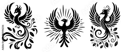 Phoenix illustration set in black and white vector art, featuring perched, radiant, and ornamental mythical bird designs, ideal for tattoos, logos, and fantasy-inspired creative artwork.