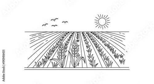 Sunlit Agricultural Field with Growing Crops and Clear Sky
