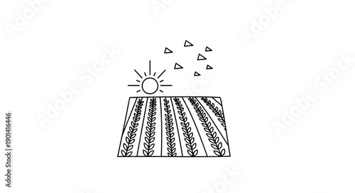 Sunrise Over Rural Farm Field with Growing Crops and Clear Sky