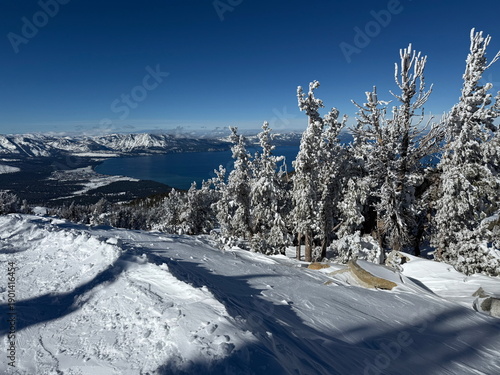 Views of Lake Tahoe and snow-covered trees after a snowstorm on a bluebird winter day at Heavenly Ski Resort in South Lake Tahoe