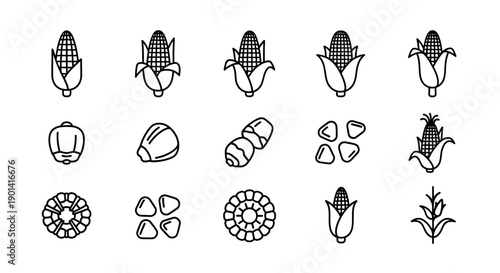 Assorted Corn and Seed Illustrations for Agricultural or Natural Themes