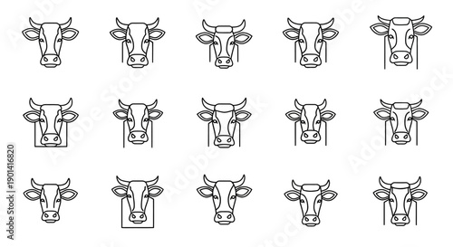 Close-up of a Cow Head with Detailed Facial Features and Horns for Agricultural and Farming Use