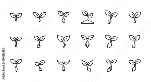 Close-Up of Young Plant Seedlings Growing in Soil for Agriculture or Gardening Visual