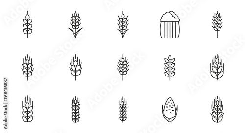 Close-up of Wheat Grain and Seedling in Early Growth Stage for Agriculture and Farming Concepts